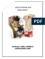 apostilas-completas-140308111409-phpapp01.pdf