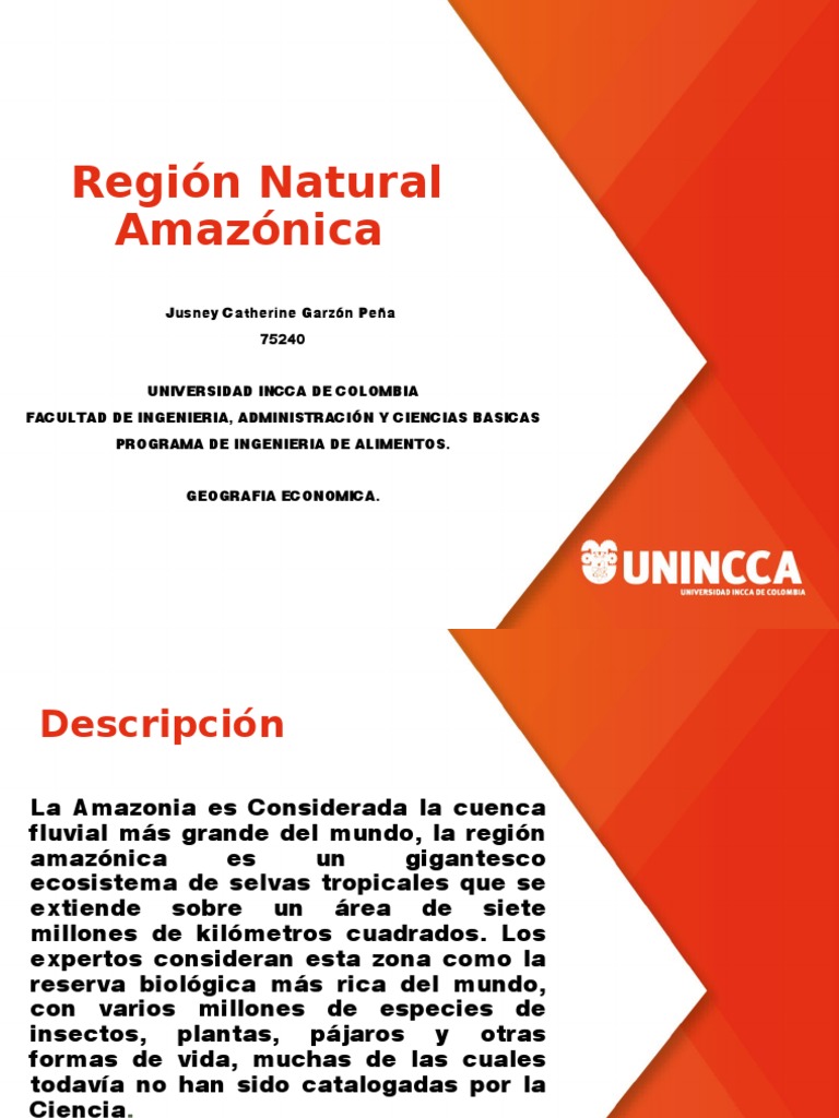 Características de la Región Amazónica | PDF | Selva amazónica | río ...
