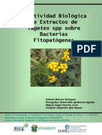 Folleto Tagetes Vs Bacterias Fitopatogenas VF