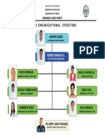BADAC TEMPLATE Council Organizational Structure