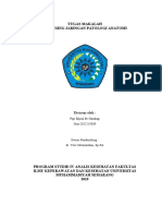 Makalah Imunohistokimia