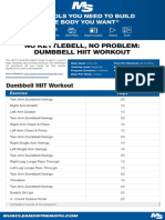 Nokettlebellnoproblem PDF