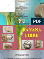 Banan Fiber PDF