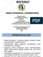 PTT Referat Abses Perirenal