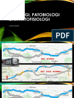 1 - Pato Patofis Patobio 19 PDF