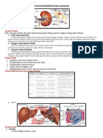 Sistem Ekskresi Pada Manusia