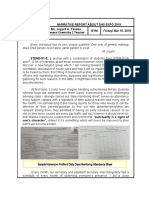 Narrative Report in EXPO For CHEM