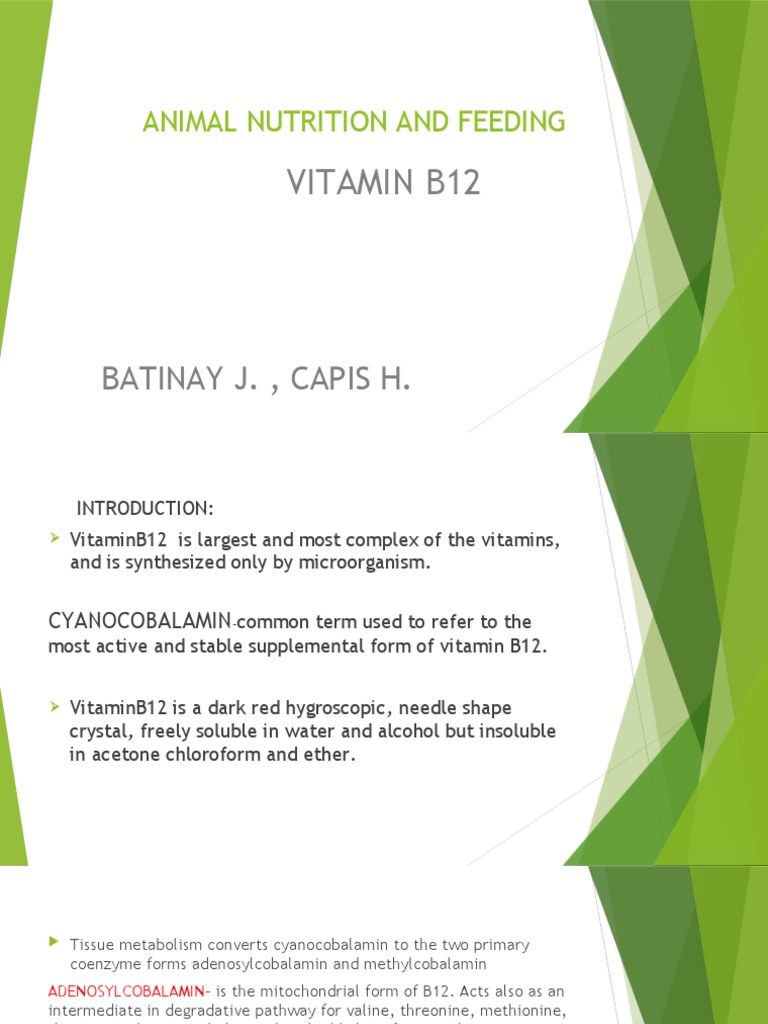 Animal Nutrition and Feeding PDF Vitamin B12 Metabolism