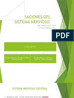 ALTERACIONES DEL SISTEMA NERVIOSO