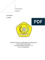 Laporan Magang - Upi Karmila PDF