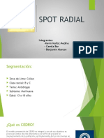 Spot Radial