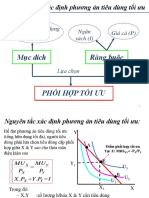 XD PA TDTU Duong Cau Ca Nhan PDF