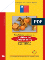 cultivo goldenberry.pdf