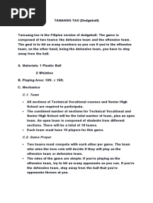 Dodge Ball Game Guidelines