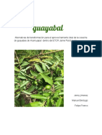 GUAYABAL FINAL-1.pdf