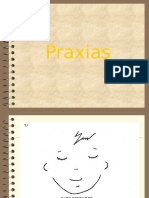 286793617-praxias