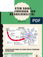 IBD B-11 - Topik 1 - Sistem Saraf, Pengindraan, Dan Muskuloskeletal