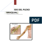 Trabajo Plexo Braquial