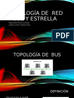 Topología de Bus y Estrella