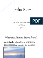 Tundra Biome: By: Esther Kim & Mae Lesko AP Biology 7/8 B