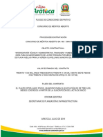 Pliego Definitivo PDF