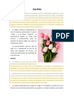 TULIPÁN texto desordenado.docx