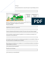 Evaluación Diagnostica Del Bloque