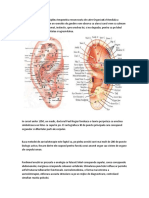 Auriculoterapia