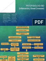 IBD Patofisiologi