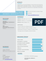 CV DOCUMENTADO.pdf