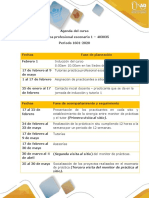 Agenda Del Curso Practica Profesional Escenario 1