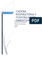 La Cadena Respiratoria y Fosforilación Oxidativa