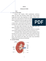 Bab II Nefrolitiasis