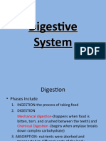 Digestive System