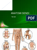 Anatomi Sendi