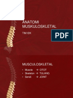 Anatomi Skletal PDF