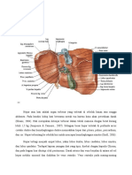 Anatomi Hepar patofisiologi dan patogenesis.docx