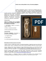 Clase Pei PDF