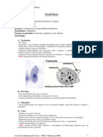 Resumo Parasitologia Médica - Protozoários