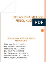 Isolasi Dna Metode Fenol Kloroform-2