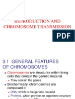 Ch3 Chromosome Transmission PDF