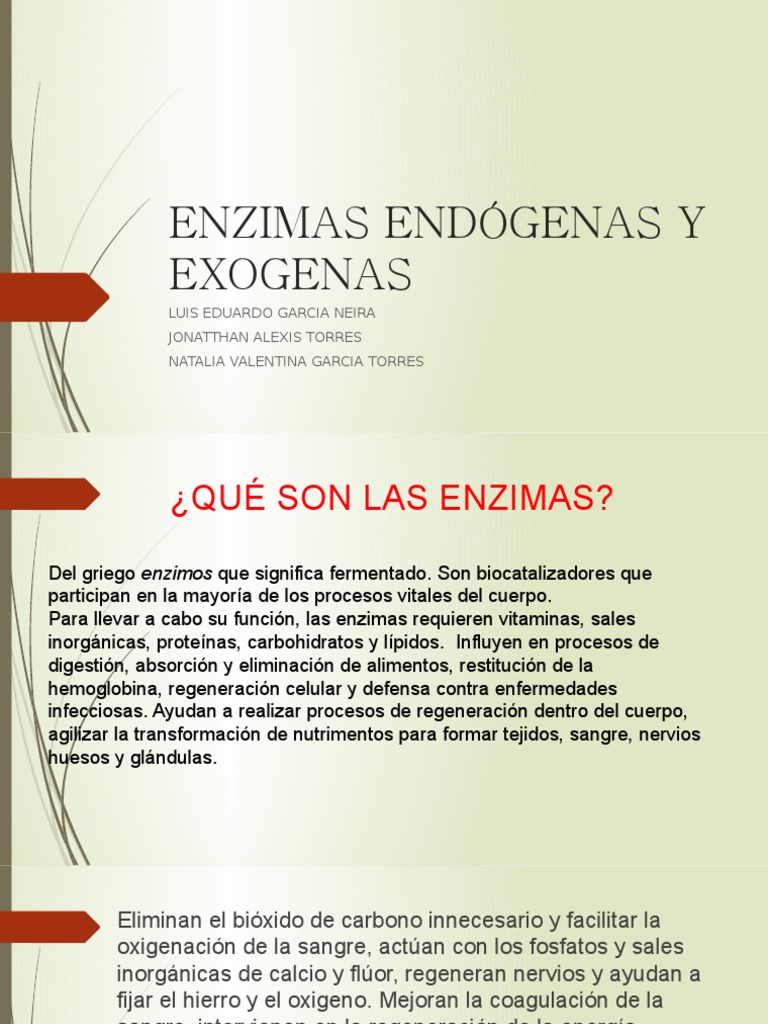 Enzimas Endógenas y Exógenas: Funciones | PDF | Enzima | Alimentos