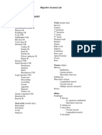 Digestive System Lab PDF