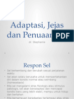 Adaptasi, Jejas Dan Penuaan Sel