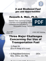 Peak Oil and Biodiesel Fuel Challenges and Opportunities