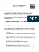 Wireshark_TCP.pdf