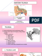 Anatomi Telinga Maya
