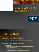 7 - Glande Salivare