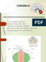 5 CEREBELO.pptx