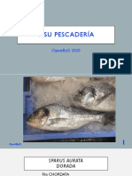 Visu Pescadería PDF